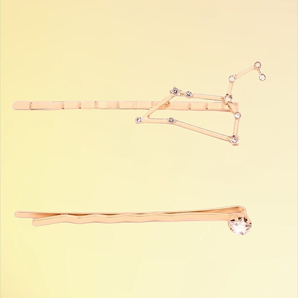 LEO — Zodiac Hair Pin